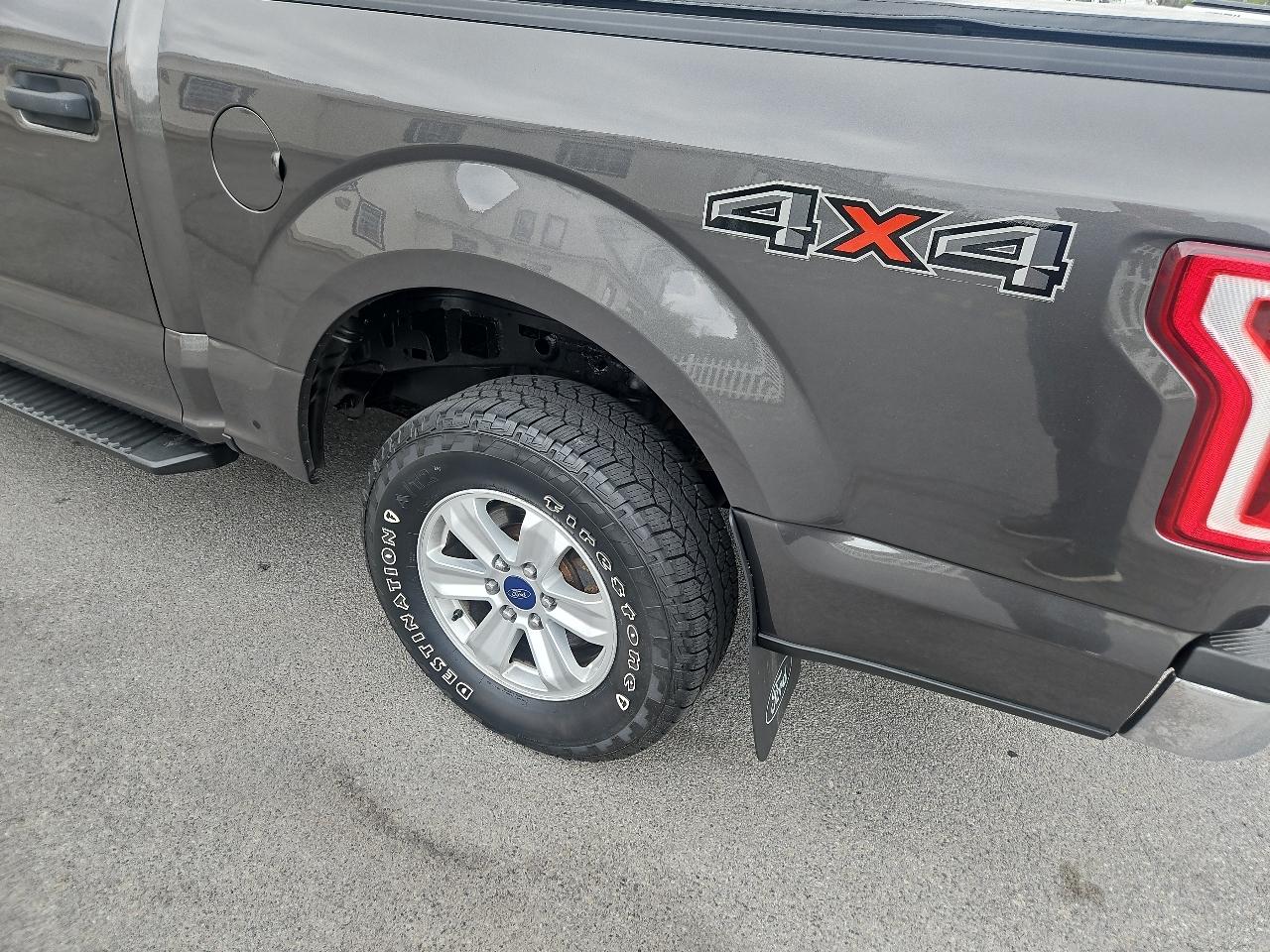 Ford F-150 XLT 4WD SuperCrew 5.5' Box 2017