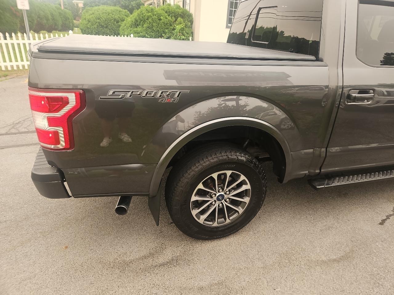 Ford F-150 XLT 4WD SuperCrew 5.5' Box 2019