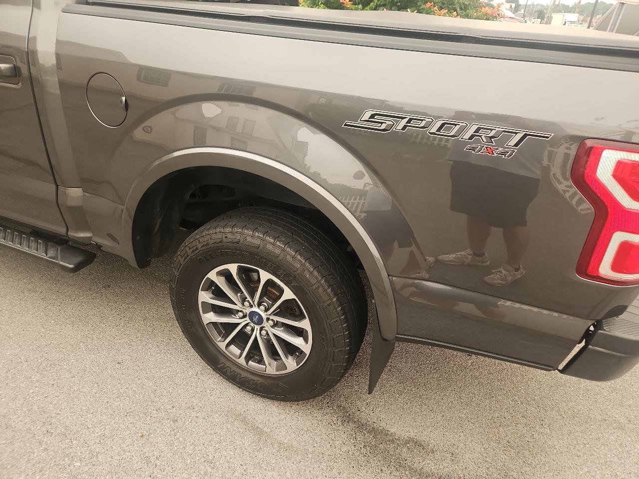 Ford F-150 XLT 4WD SuperCrew 5.5' Box 2019
