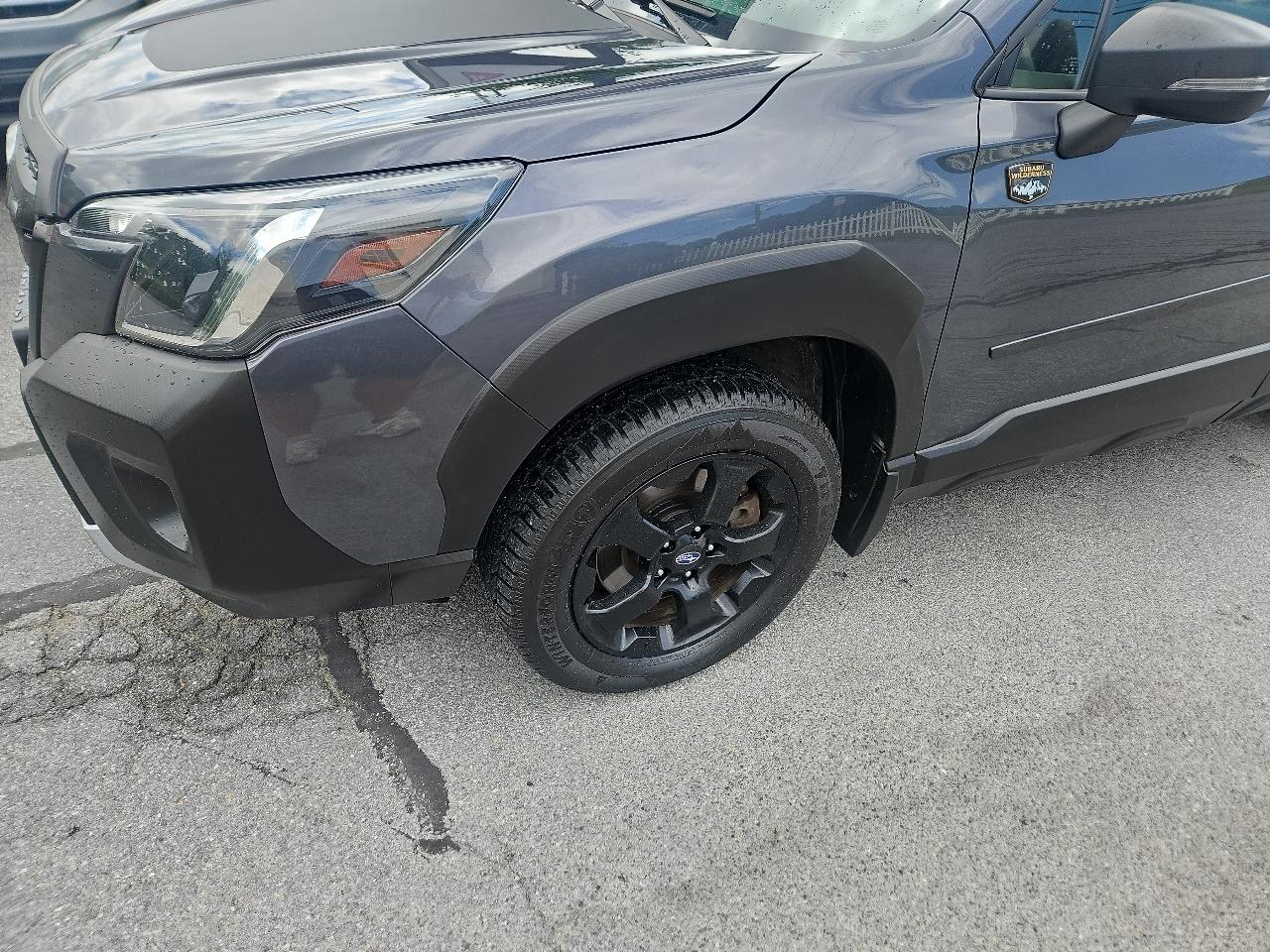 Subaru Forester Wilderness CVT 2022