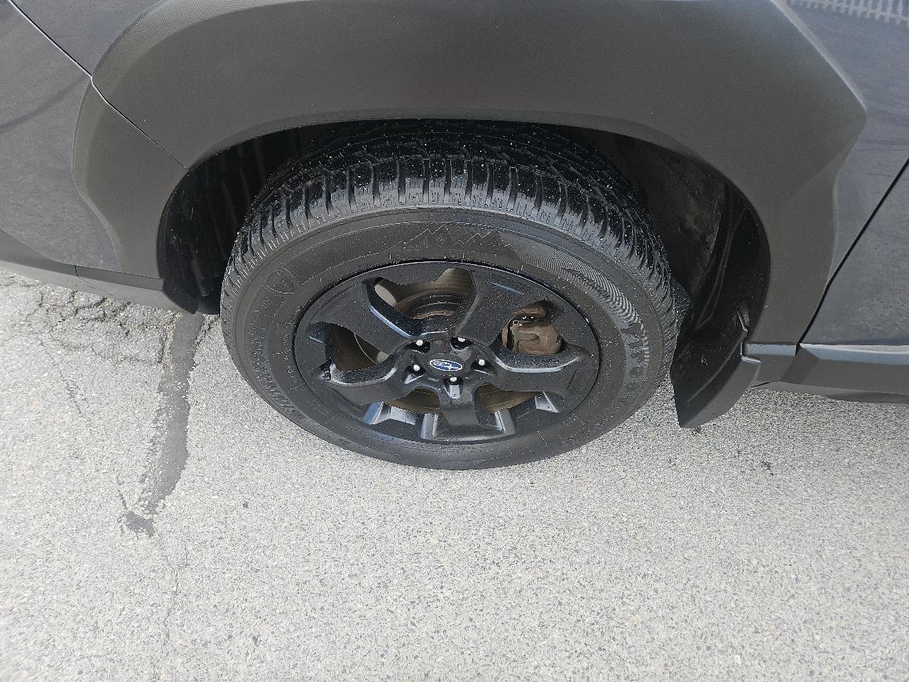 Subaru Forester Wilderness CVT 2022