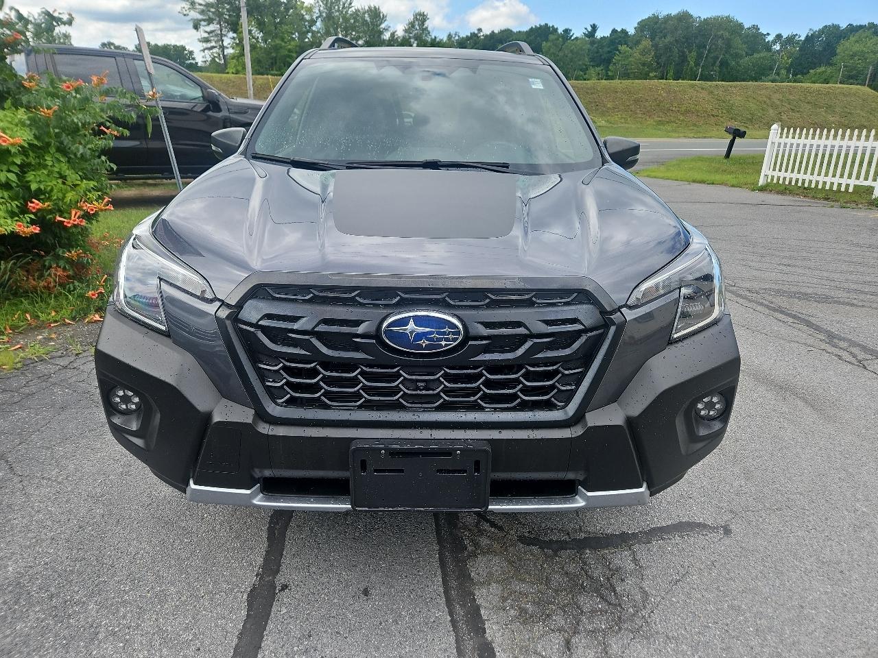 Subaru Forester Wilderness CVT 2022