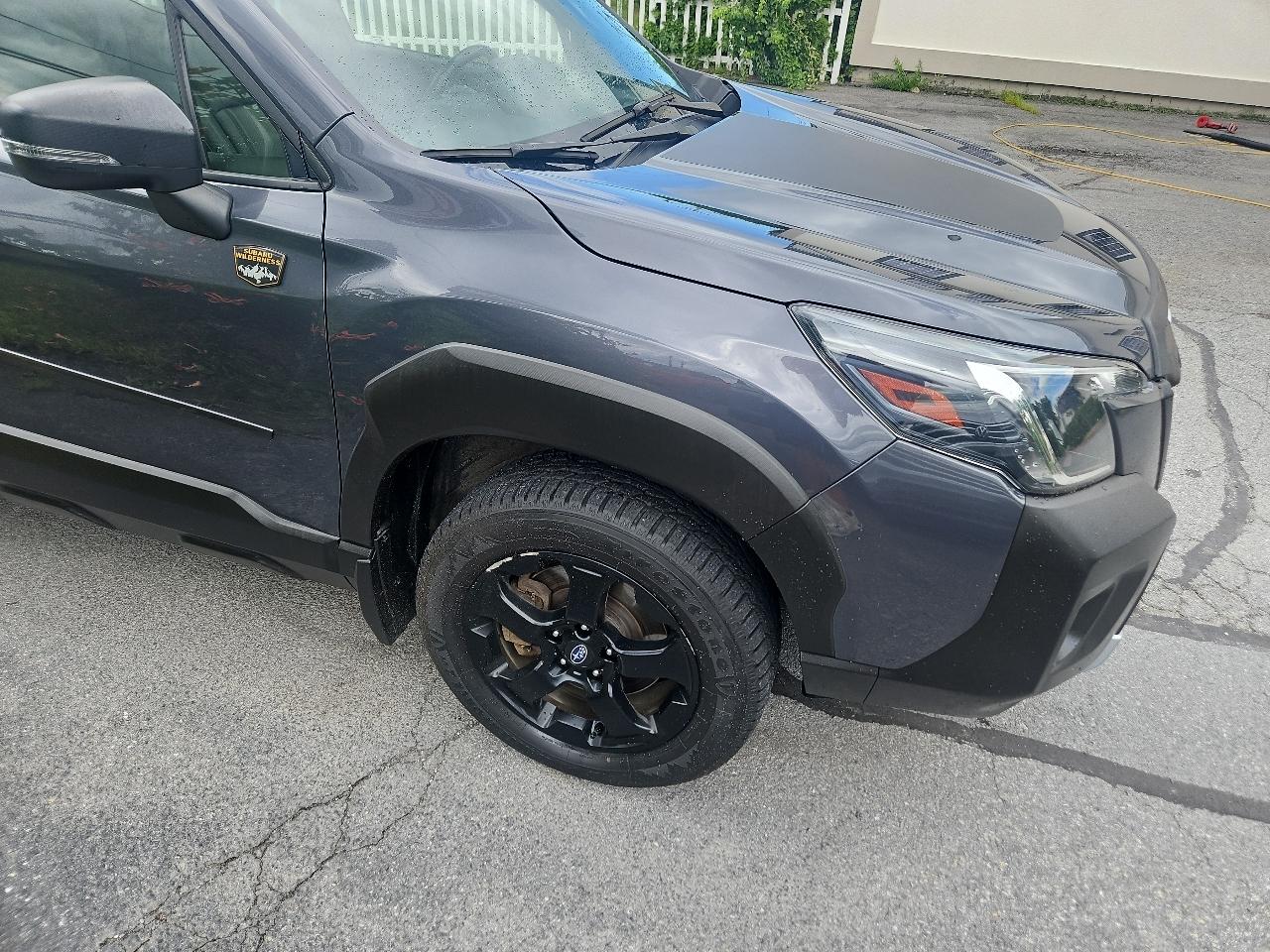 Subaru Forester Wilderness CVT 2022