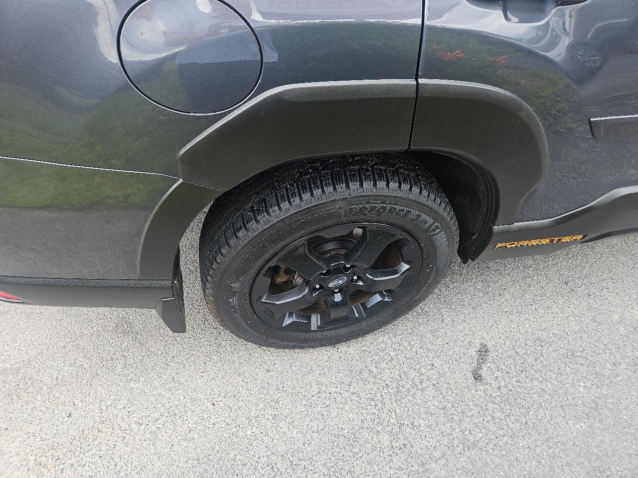 Subaru Forester Wilderness CVT 2022