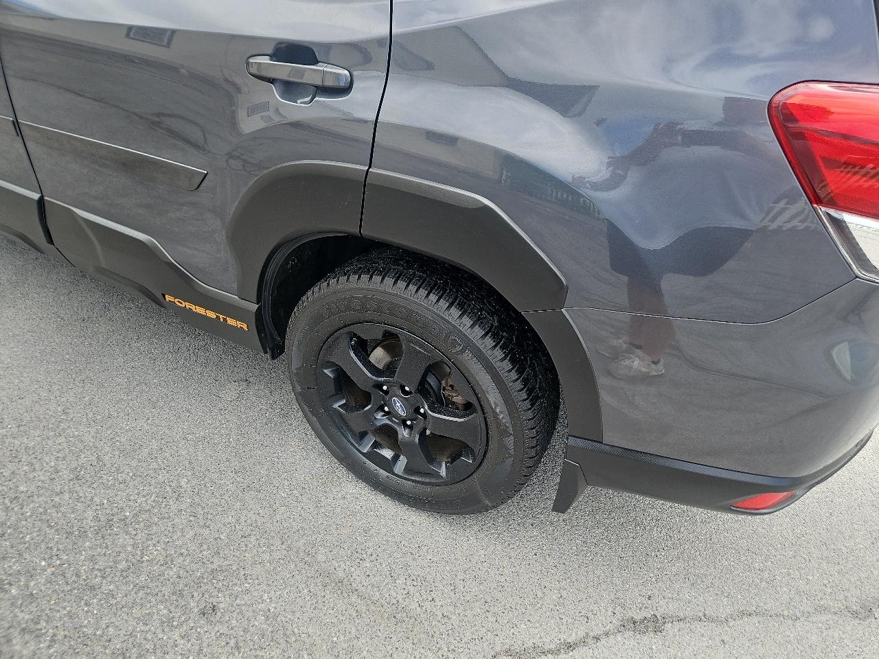Subaru Forester Wilderness CVT 2022