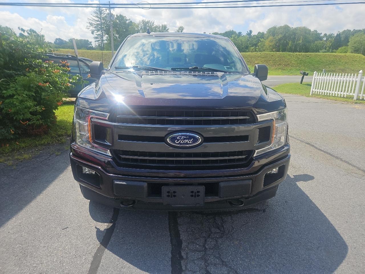 Ford F-150 XLT 4WD SuperCrew 5.5' Box 2019