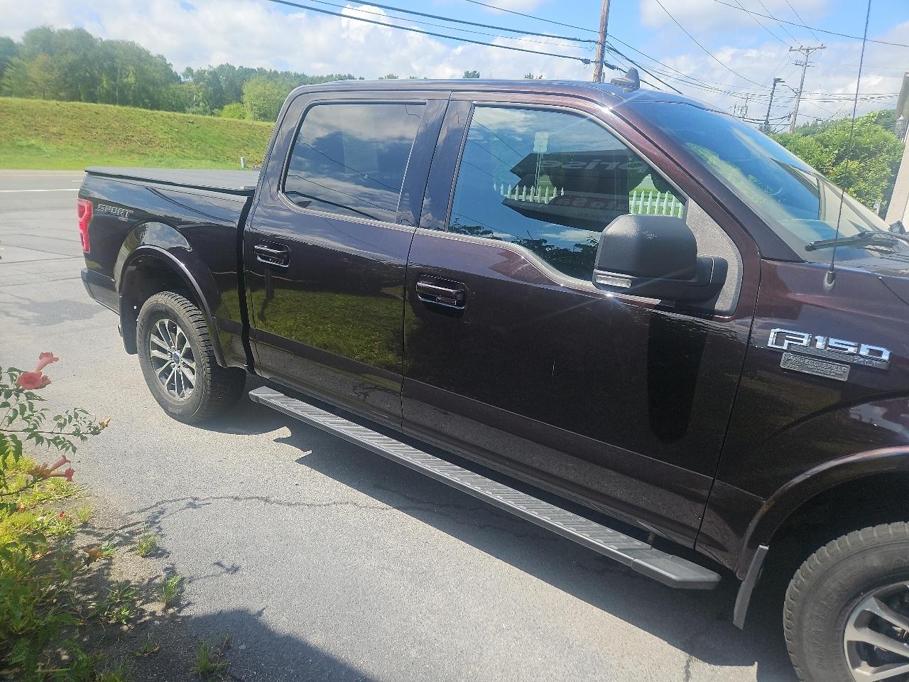 Ford F-150 XLT 4WD SuperCrew 5.5' Box 2019