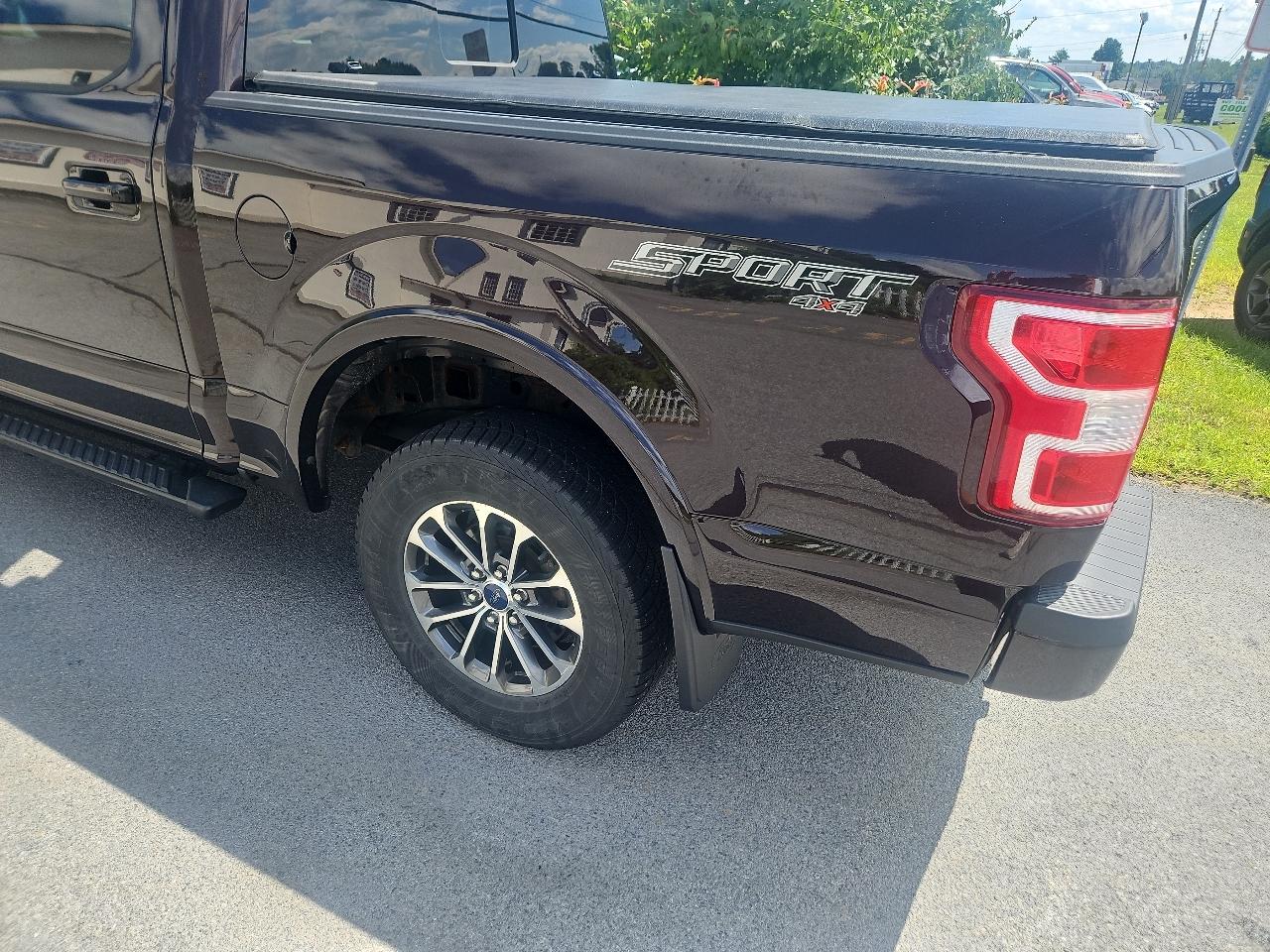 Ford F-150 XLT 4WD SuperCrew 5.5' Box 2019