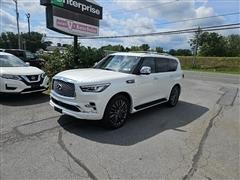 2023 Infiniti QX80 