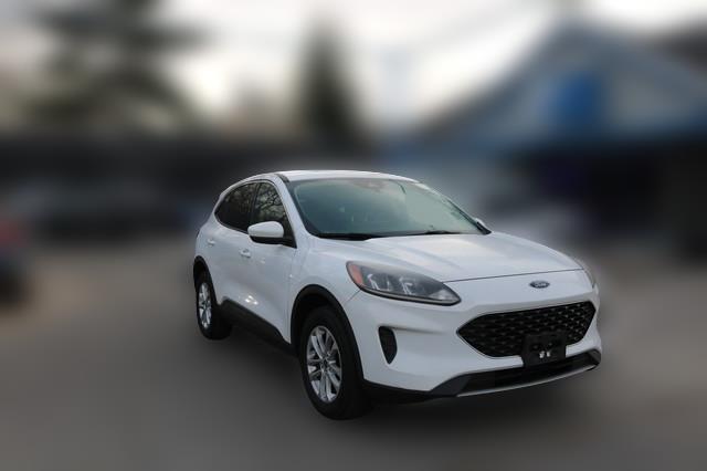 2020 Ford Escape SE's photo