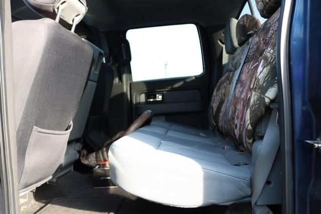 Ford F-150 4WD SuperCrew 145" XL 2014