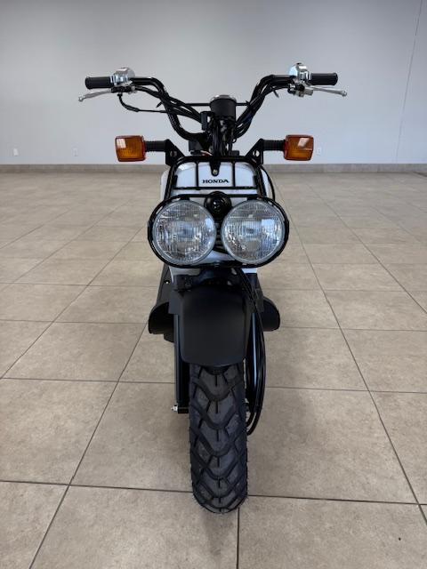 Honda Ruckus  2022