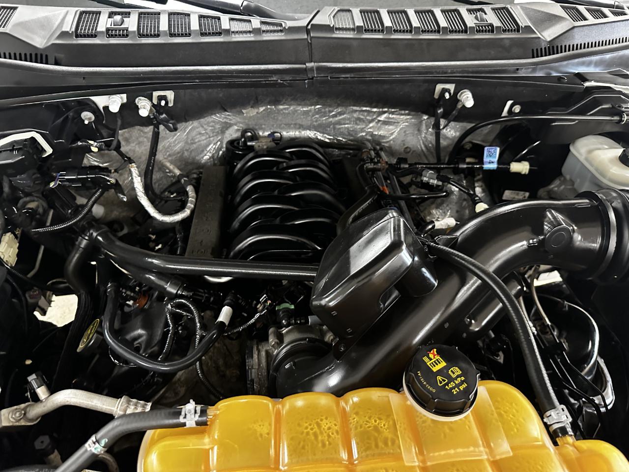 Ford F-150 4WD SuperCrew 157" XLT 2016