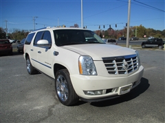 2010 Cadillac Escalade 
