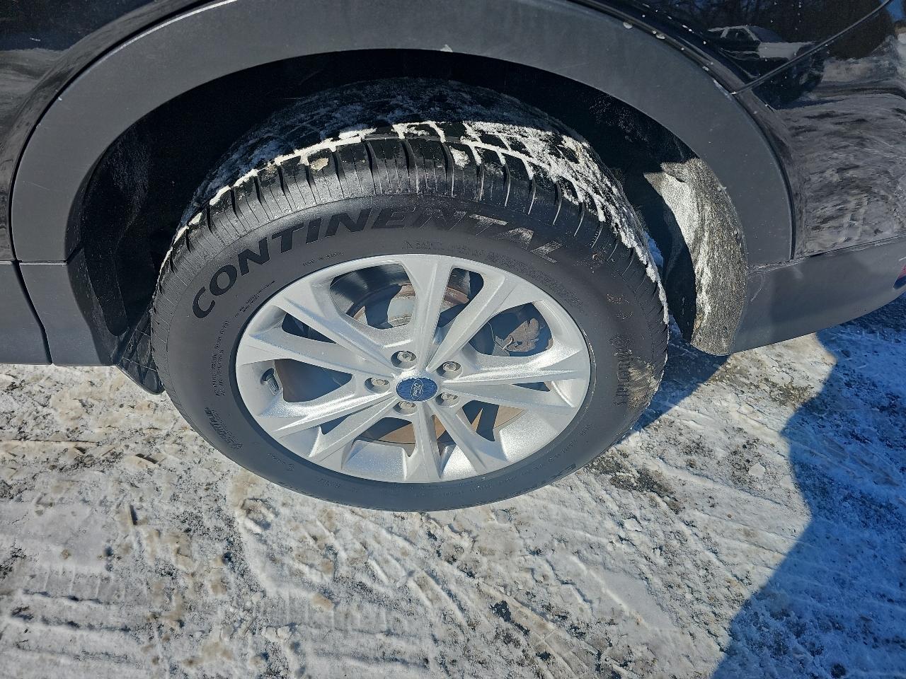 Ford Escape SEL 4WD 2019