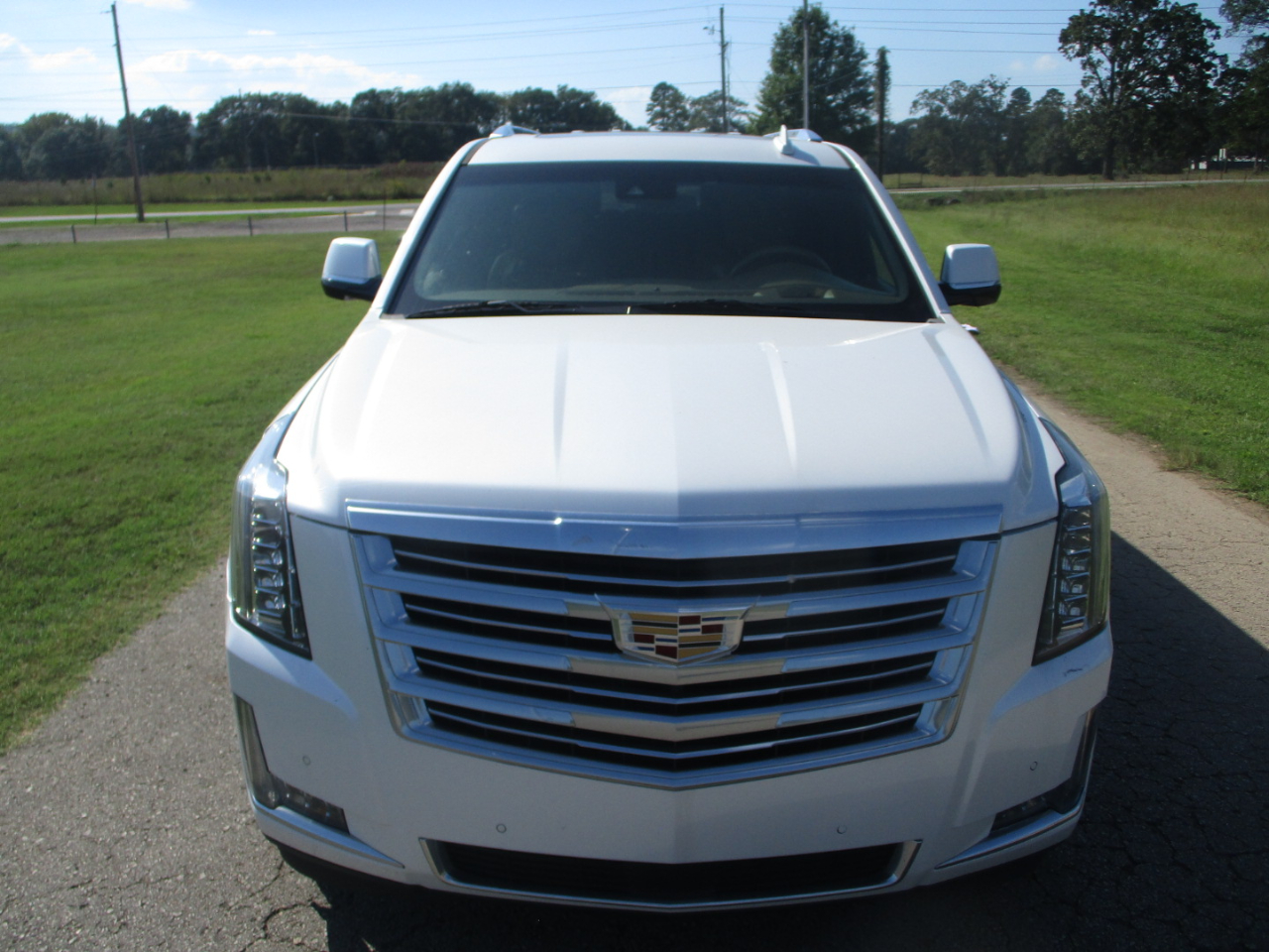 2019 Cadillac Escalade ESV Platinum photo 3