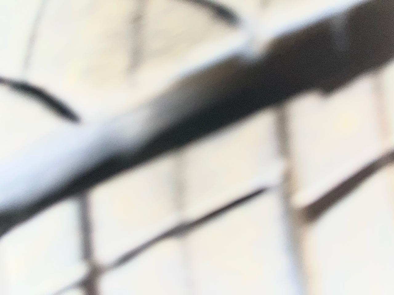 Volkswagen Atlas 3.6L V6 SEL FWD 2019