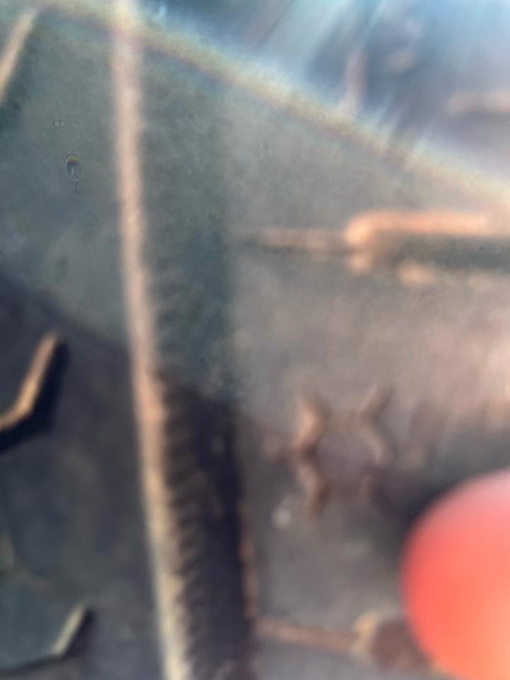 Toyota RAV4 Prime SE (Natl) 2021