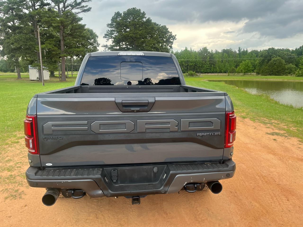 Ford F-150 Raptor 4WD SuperCrew 5.5' Box 2020