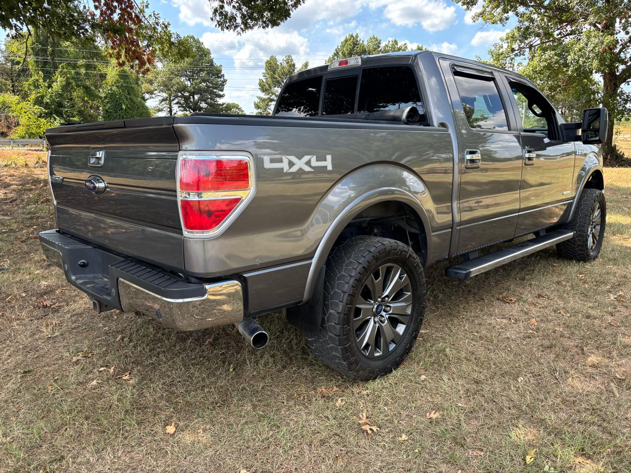 Ford F-150 4WD SuperCrew 145" Platinum 2012