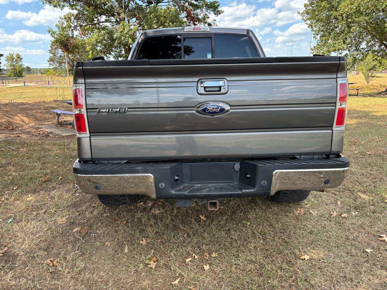 Ford F-150 4WD SuperCrew 145" Platinum 2012