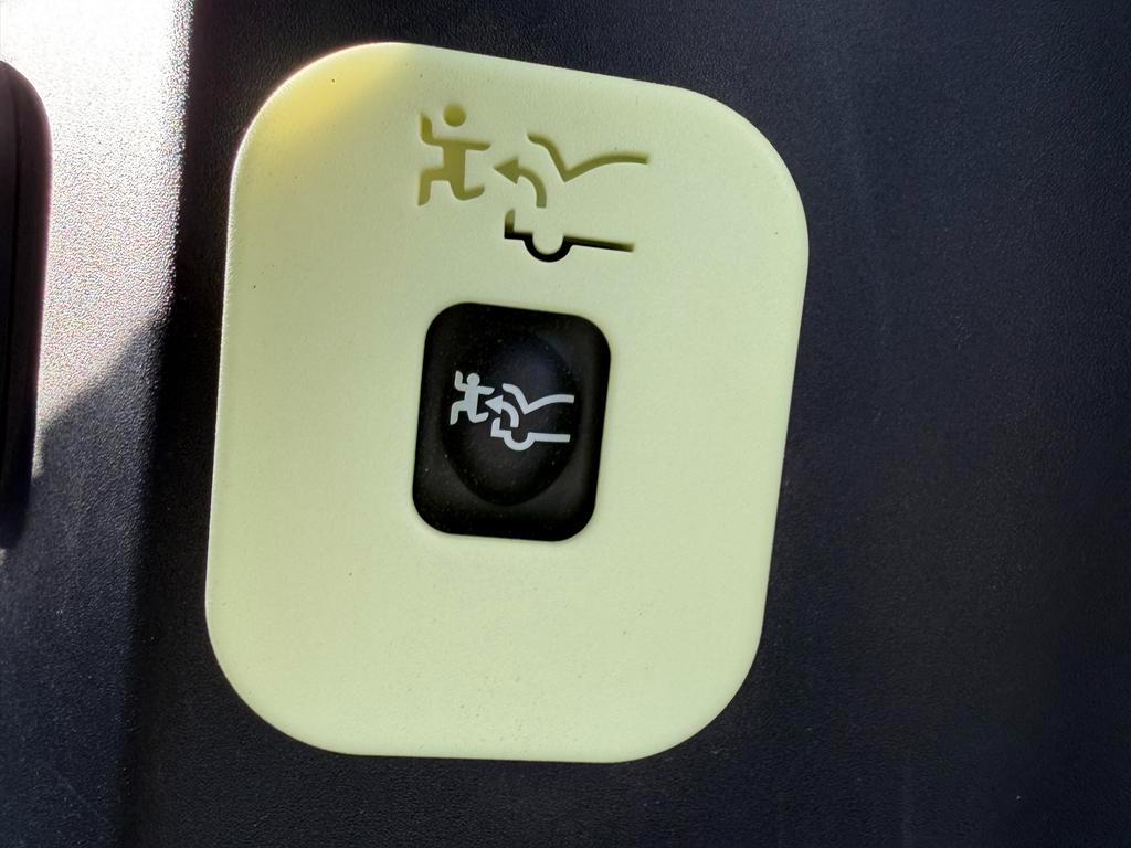 Ford F-150 Lightning  2024