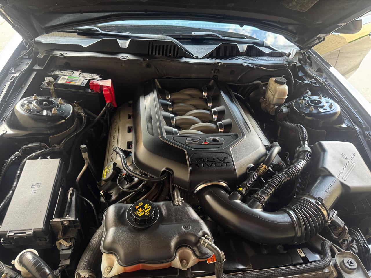 Ford Mustang 2dr Cpe GT 2013