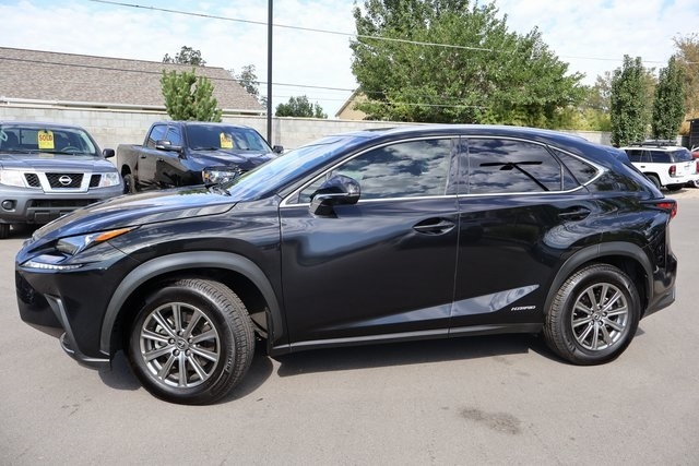 Lexus NX  2019 Lexus NX  2019