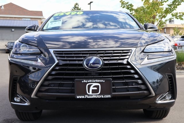 Lexus NX  2019 Lexus NX  2019