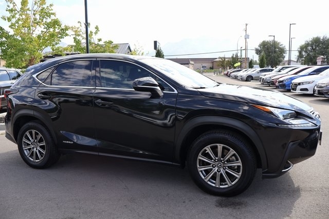 Lexus NX  2019 Lexus NX  2019