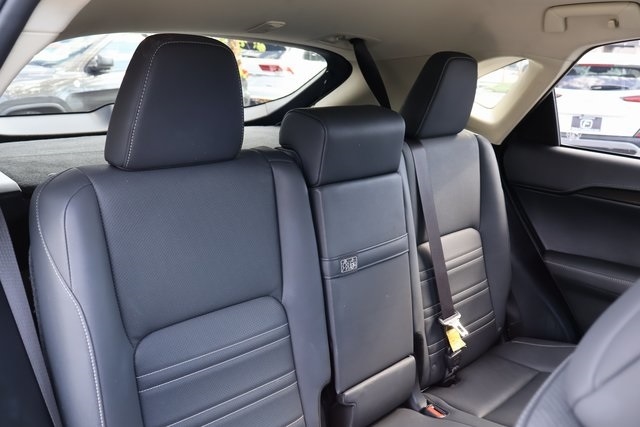 Lexus NX  2019 Lexus NX  2019