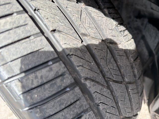 Dodge Challenger  2019