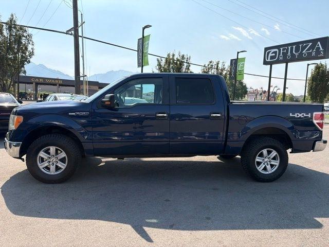 Ford F-150  2009