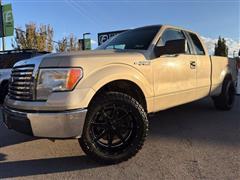 2010 Ford F-150 
