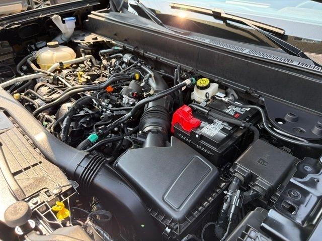 Ford Maverick  2024