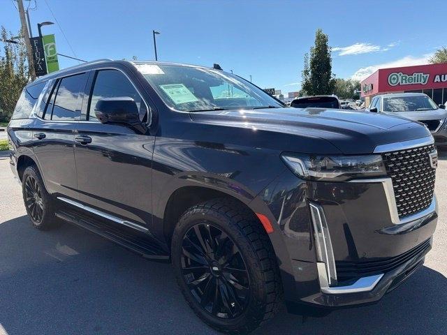 Cadillac Escalade  2024