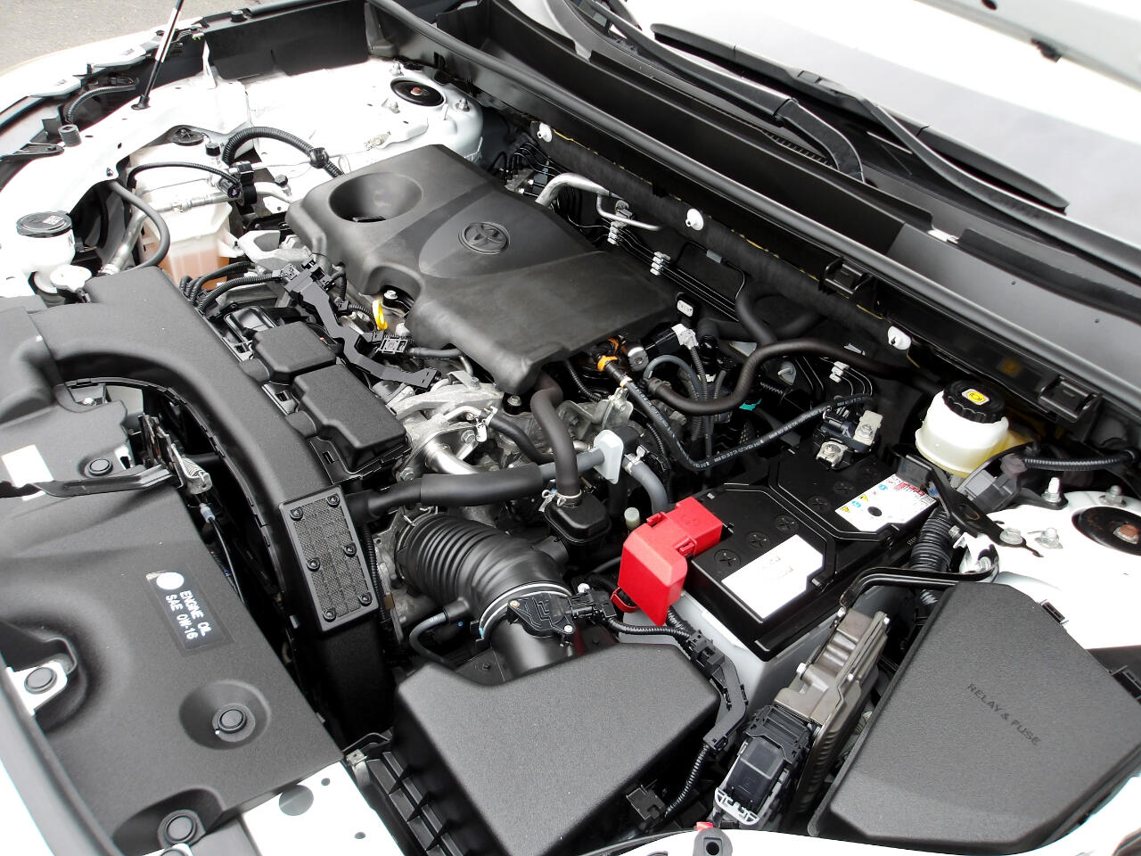 2019 Toyota RAV4 LE photo 21