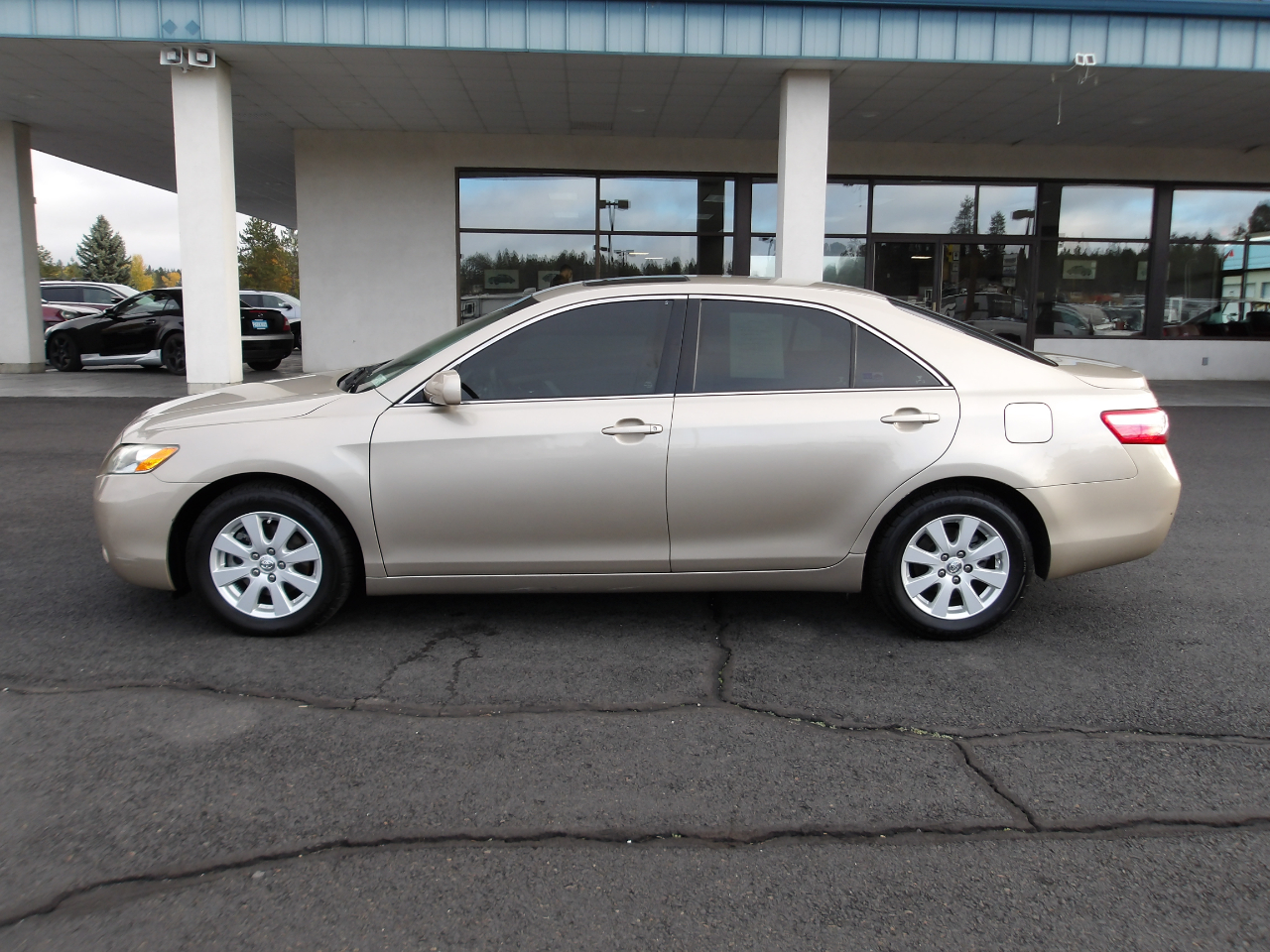 Toyota Camry XLE 2009