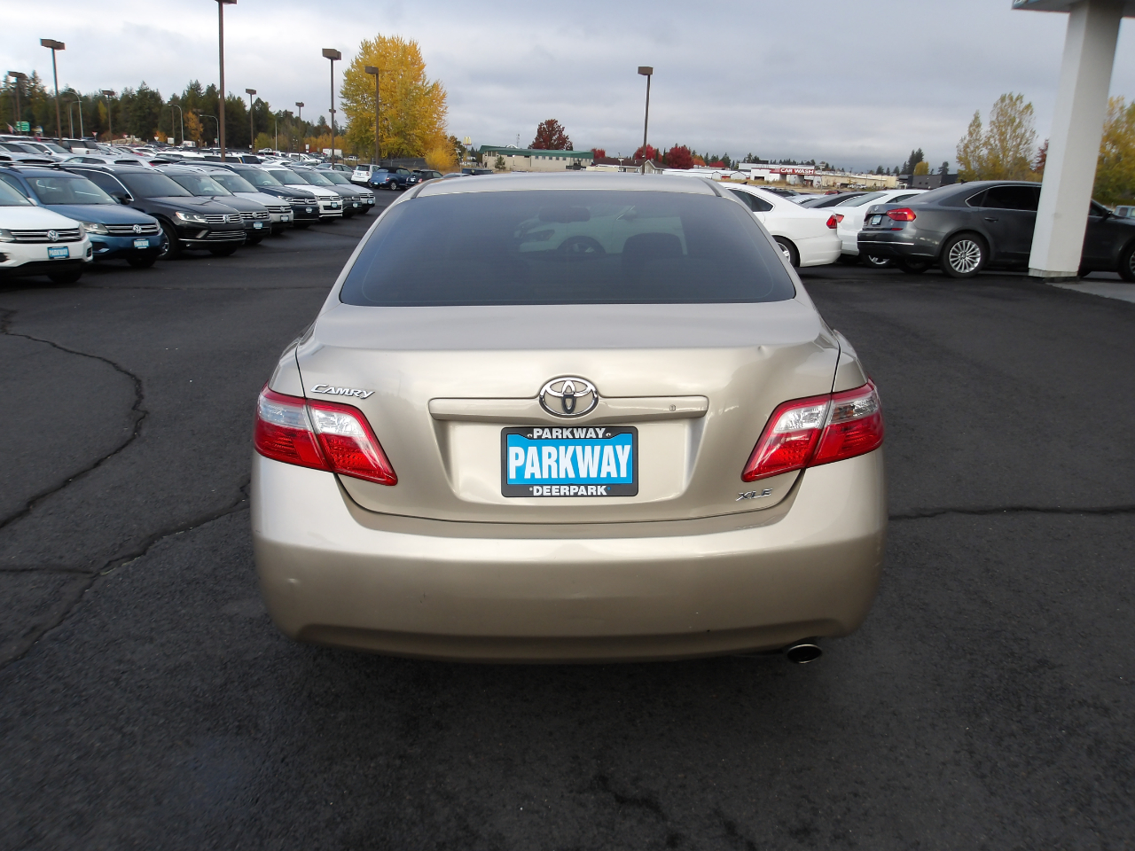 Toyota Camry XLE 2009