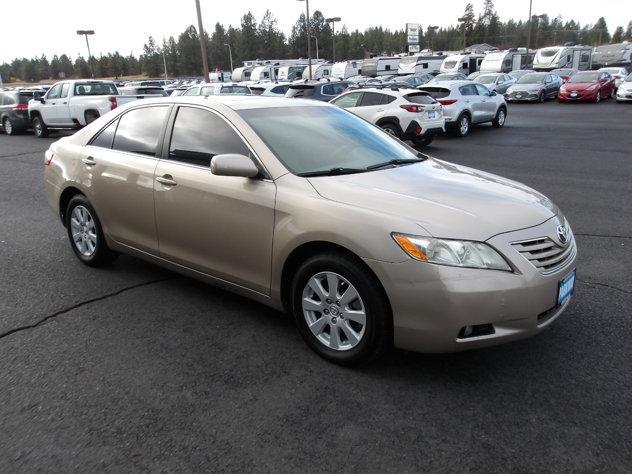Toyota Camry XLE 2009