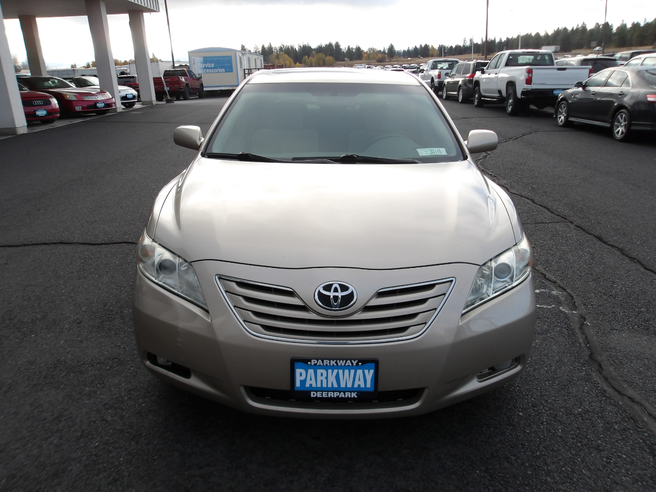 Toyota Camry XLE 2009