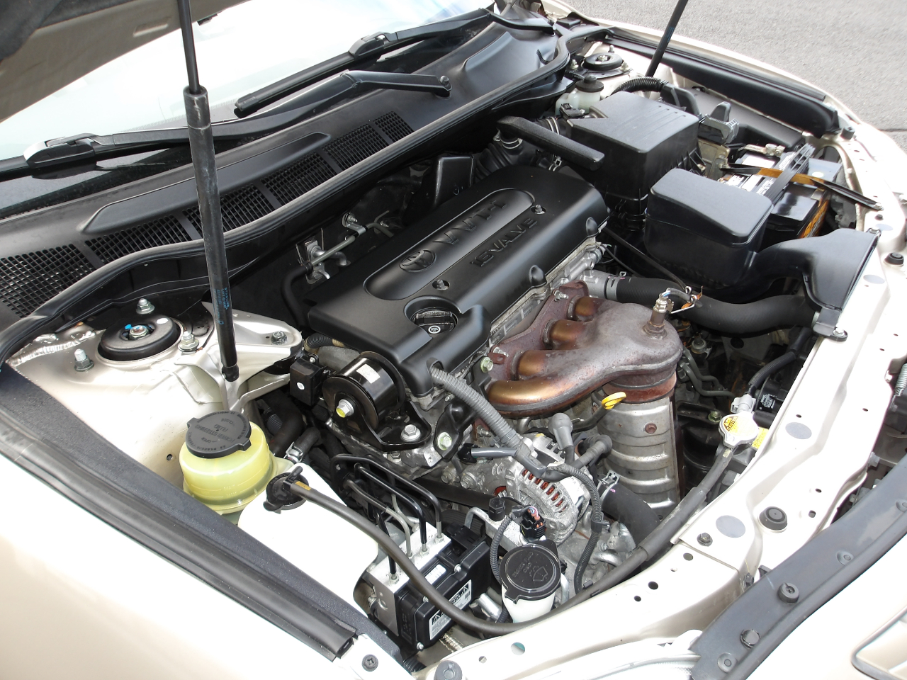 Toyota Camry XLE 2009