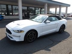 2019 Ford Mustang 
