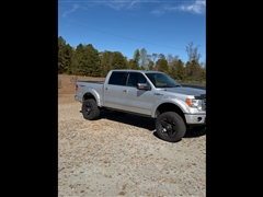 2010 Ford F-150  2010 Ford F-150