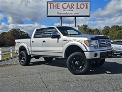 2010 Ford F-150 