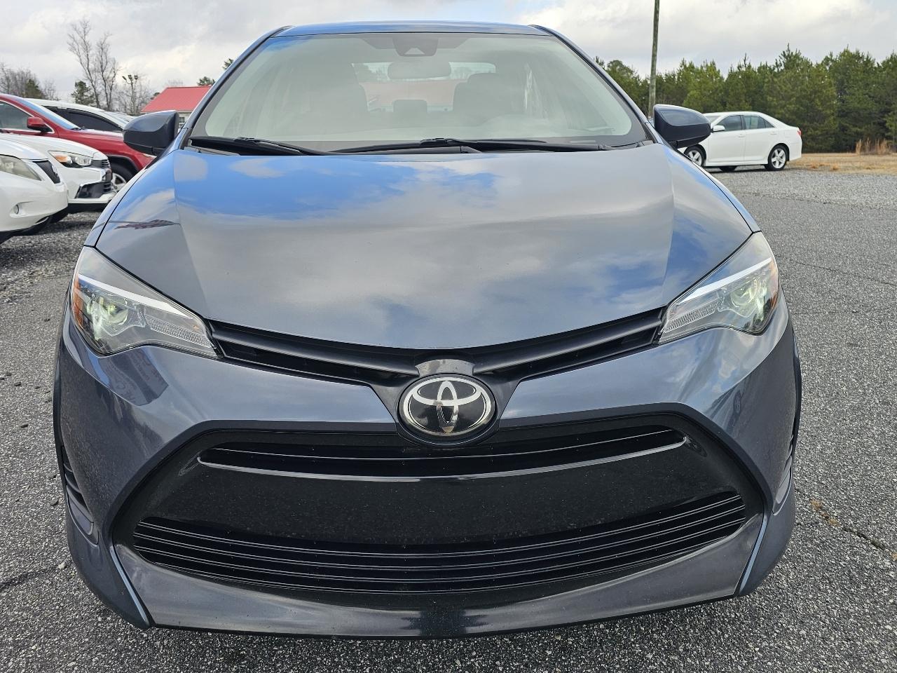 Toyota Corolla XLE CVT (Natl) 2019