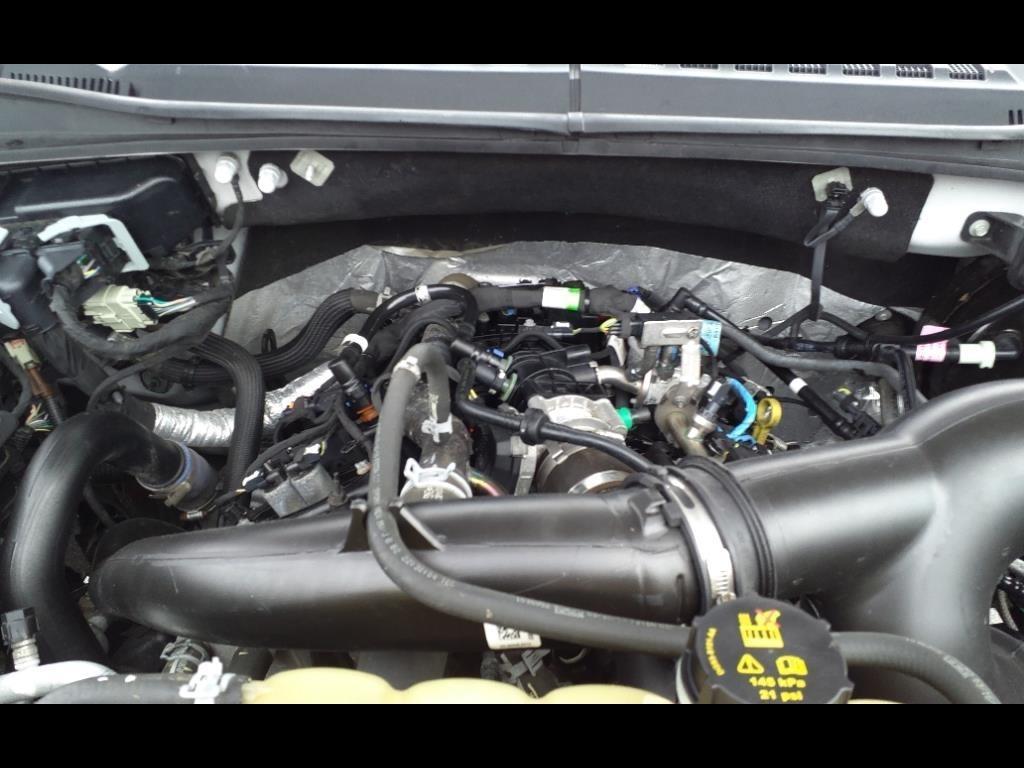 Ford F-150 XL 4WD SuperCrew 5.5' Box 2019