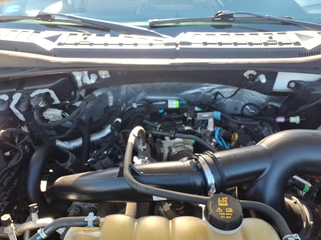 Ford F-150 XL 4WD SuperCab 6.5' Box 2019