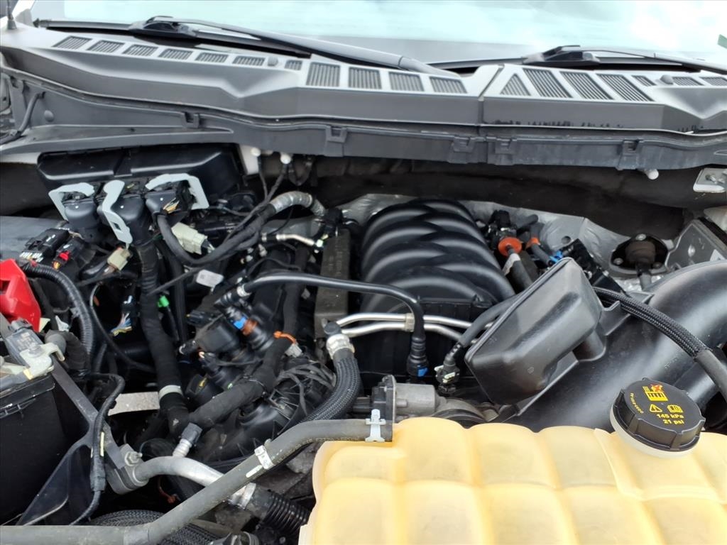 Ford F-150 XL 4WD SuperCrew 5.5' Box 2021