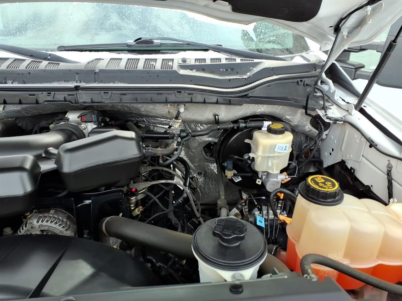 Ford Super Duty F-250 SRW XL 2WD Reg Cab 8' Box 2017